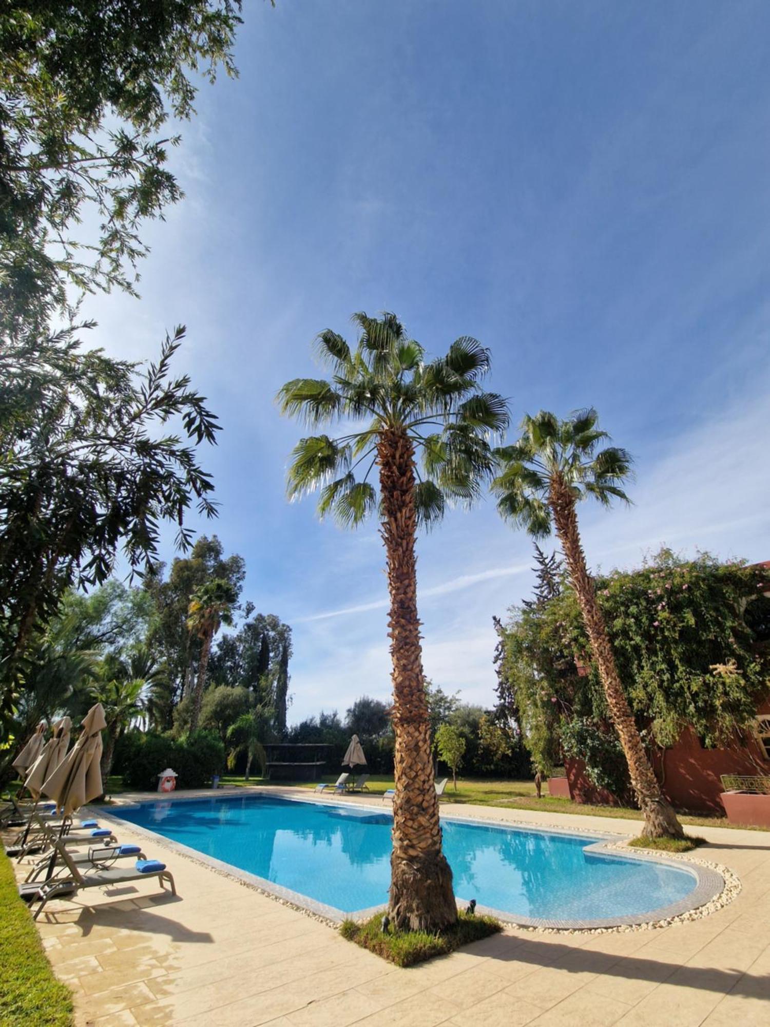 Palace Africa - Marrakech Palmeraie Dar Ilham Douar Blidene Exteriér fotografie