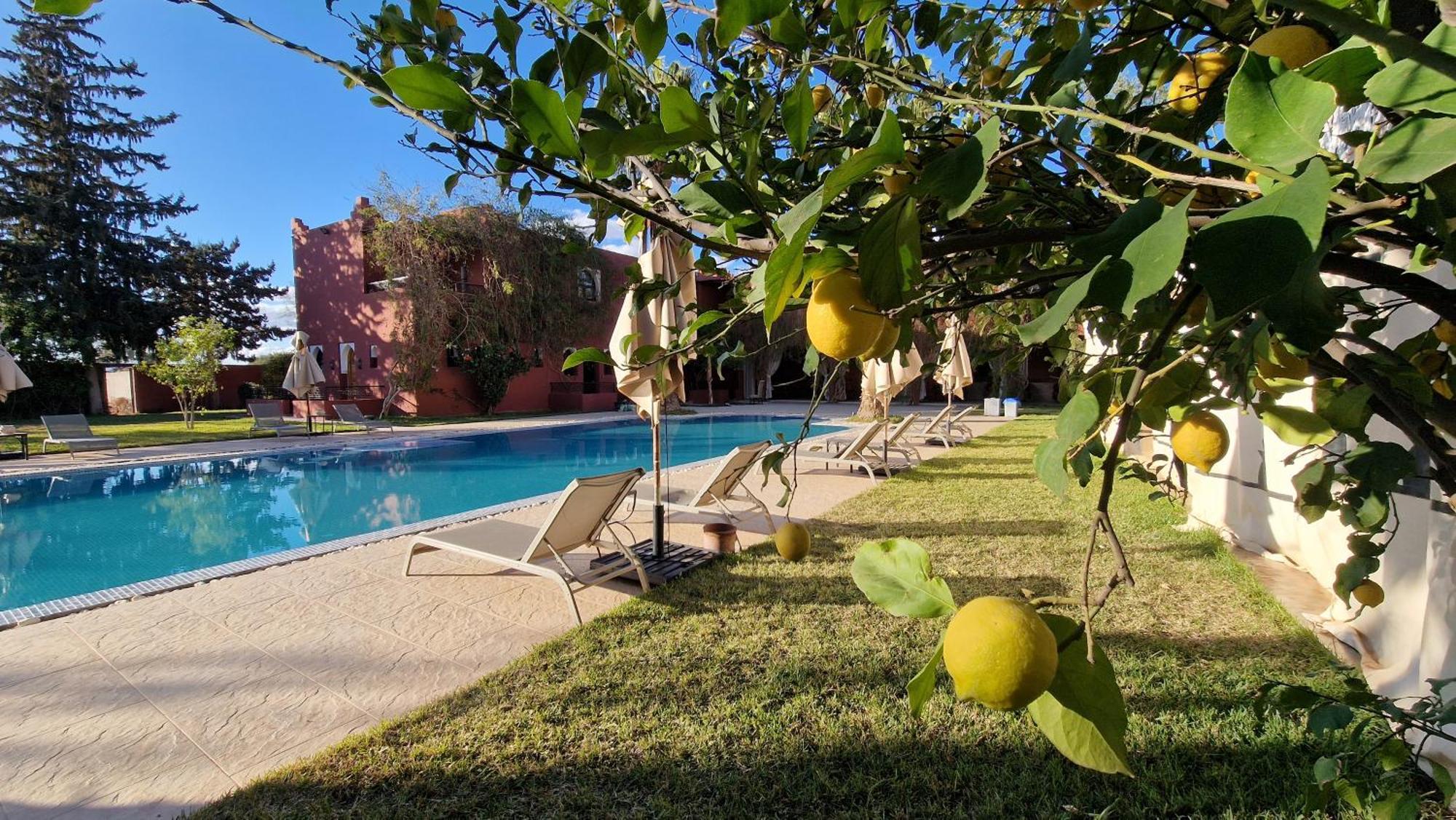 Palace Africa - Marrakech Palmeraie Dar Ilham Douar Blidene Exteriér fotografie